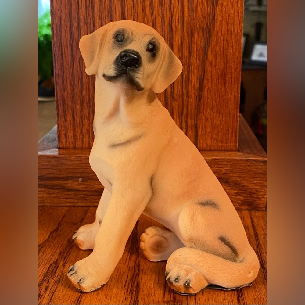 Please take me home